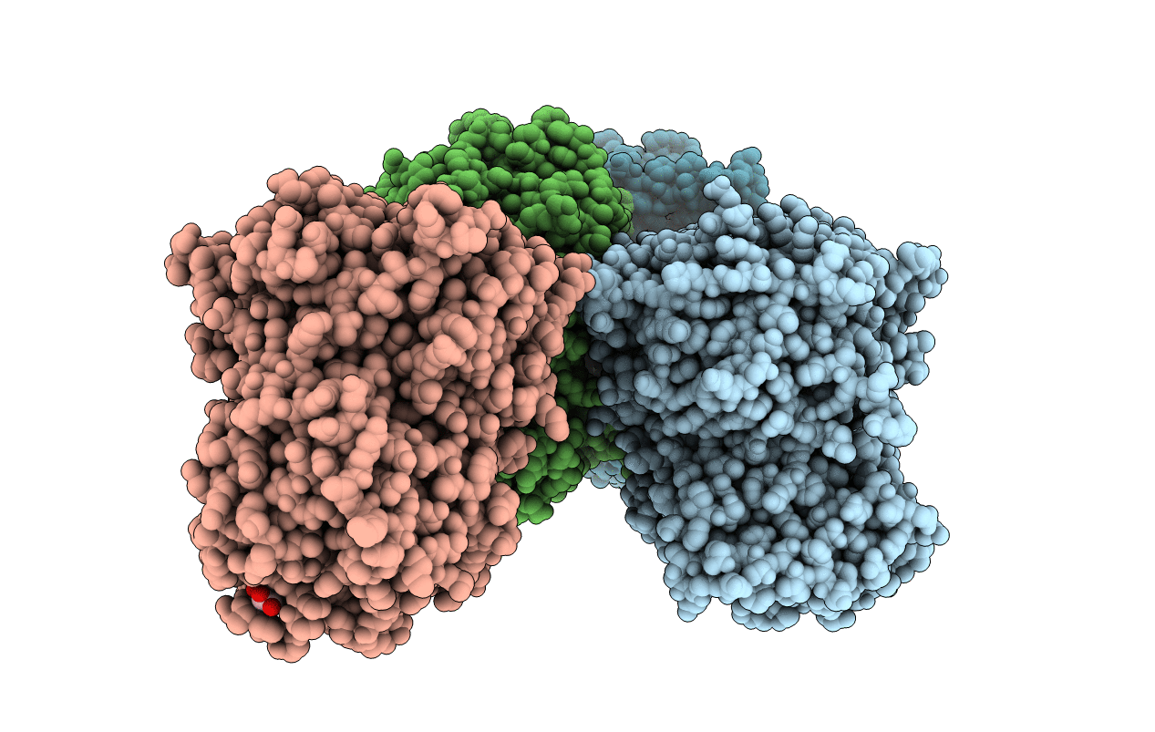 5N4C image