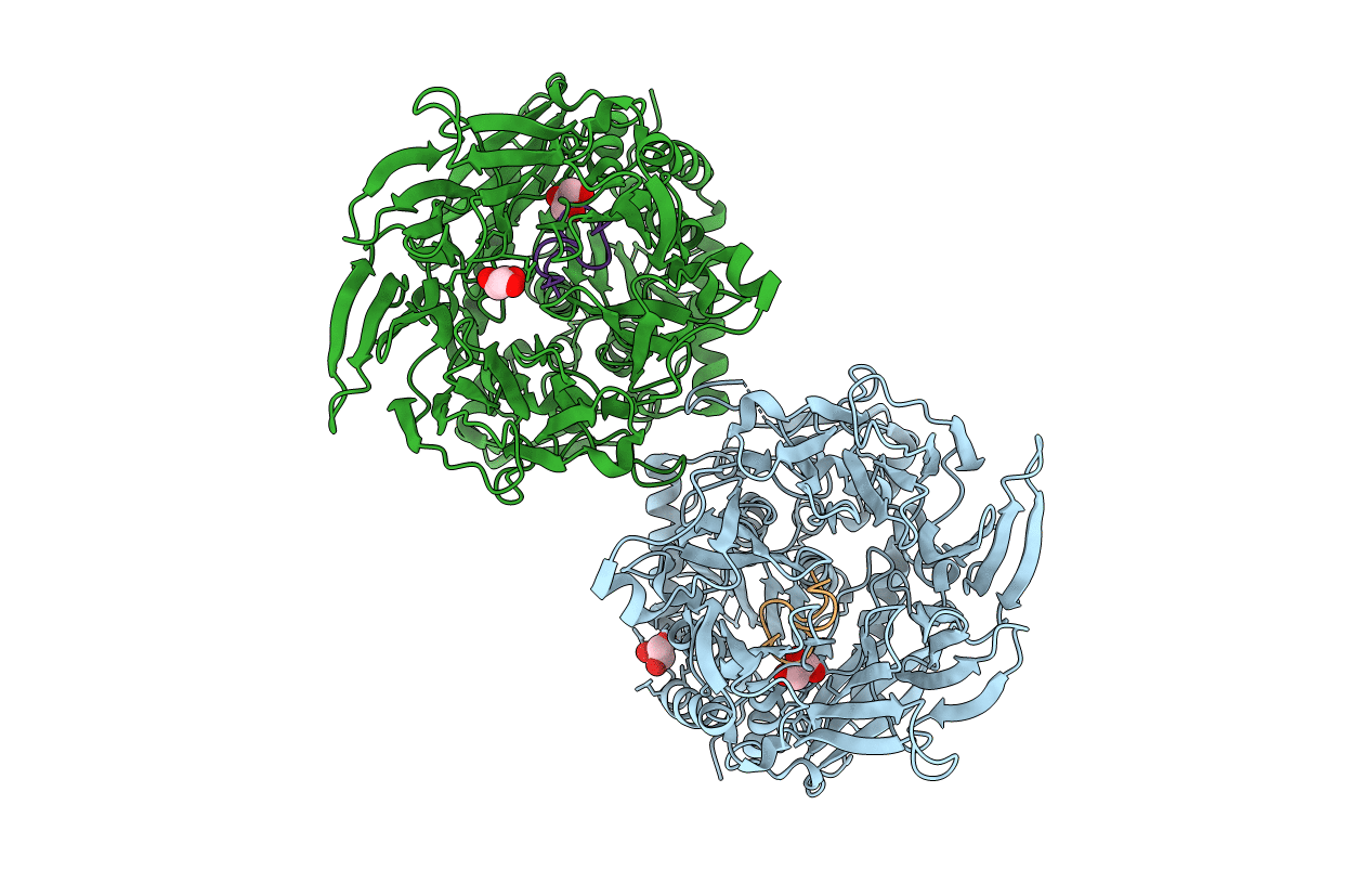 5N4D image