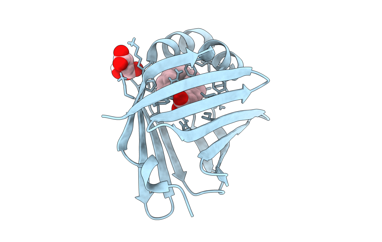 5N4P image