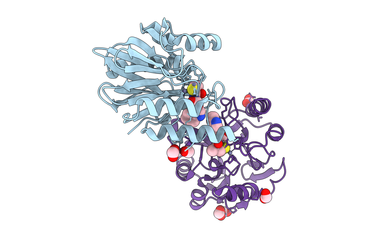 5N4S image