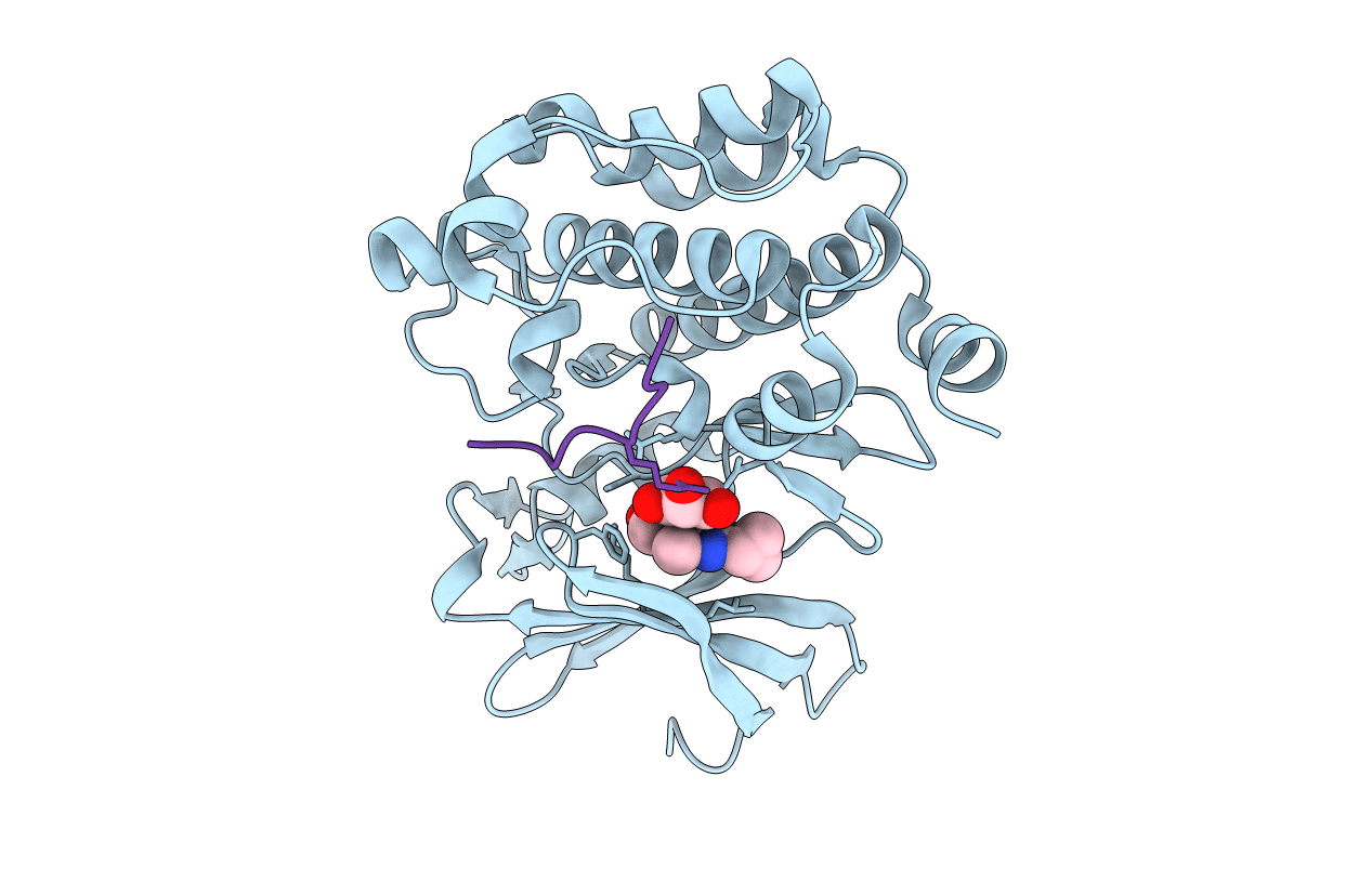 5N4V image