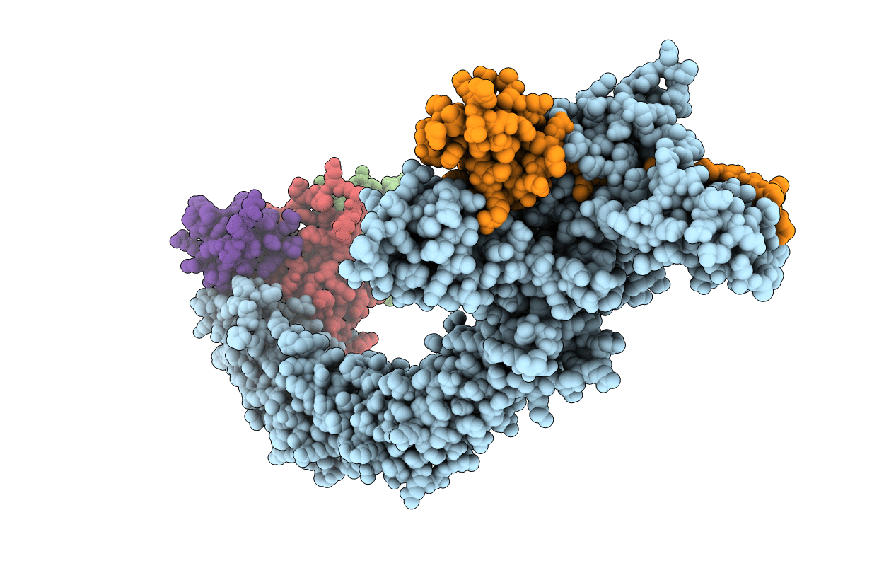 5N4W image