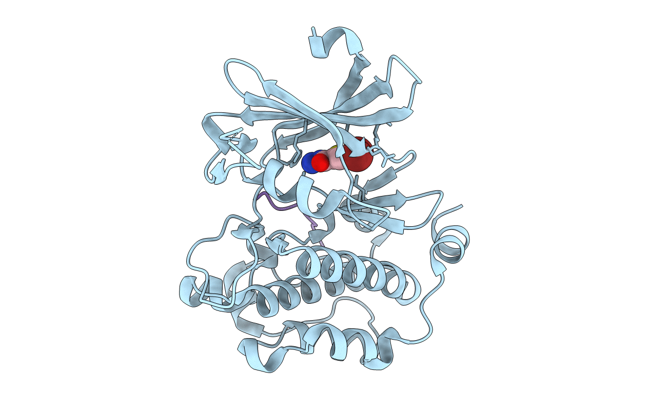 5N4X image