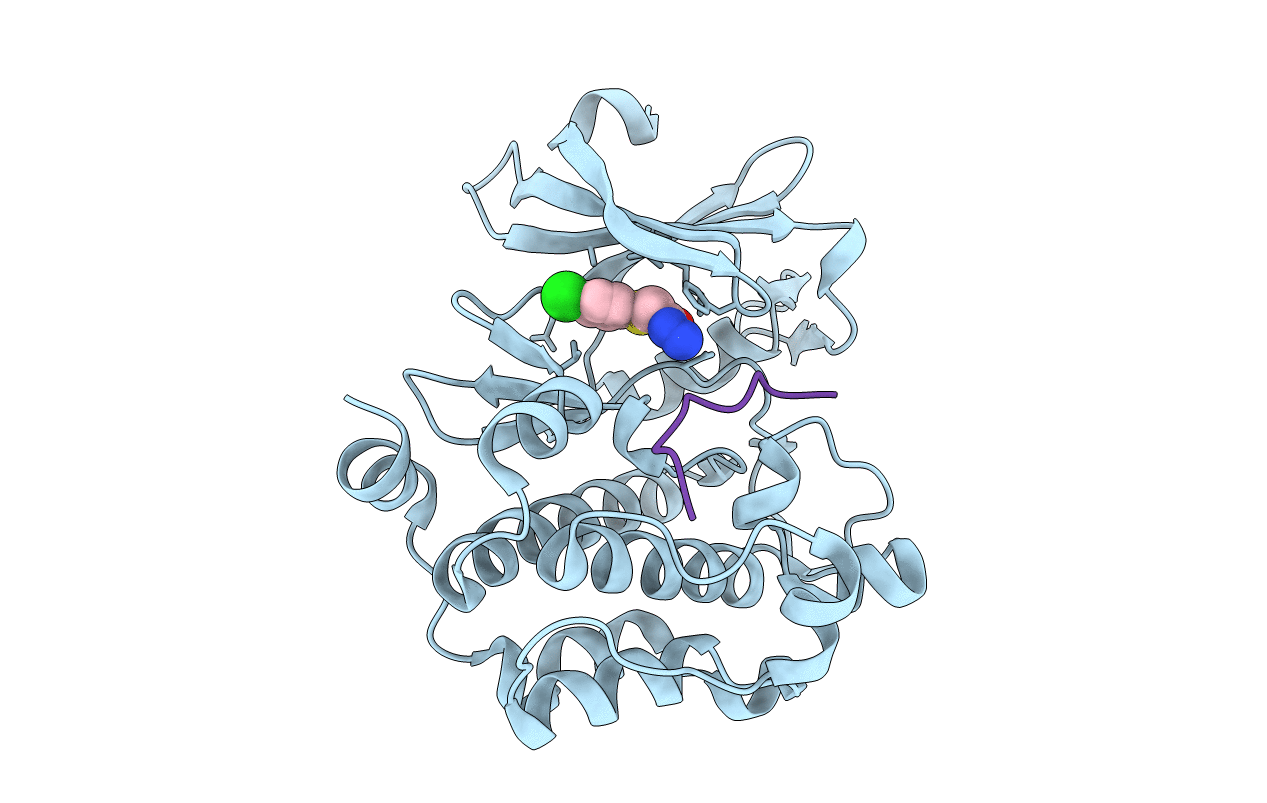 5N50 image