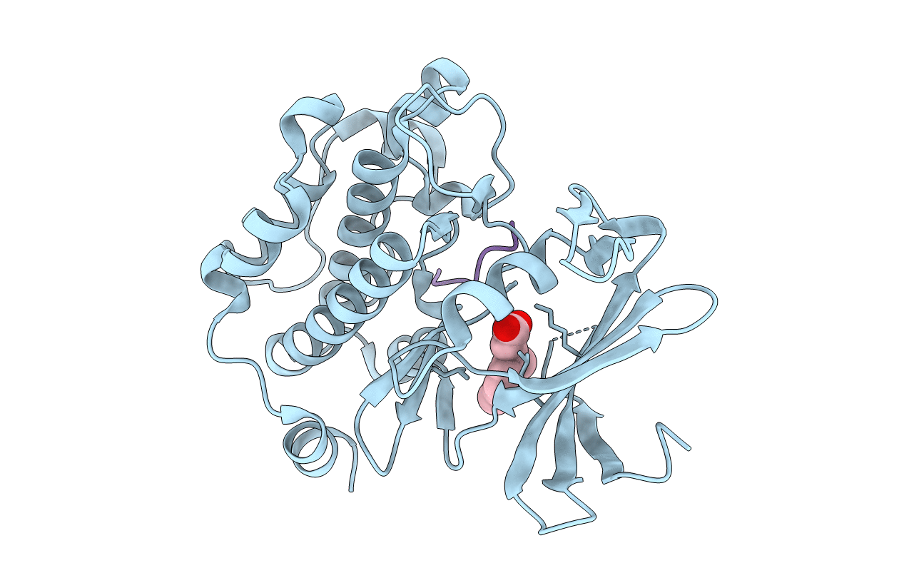 5N52 image