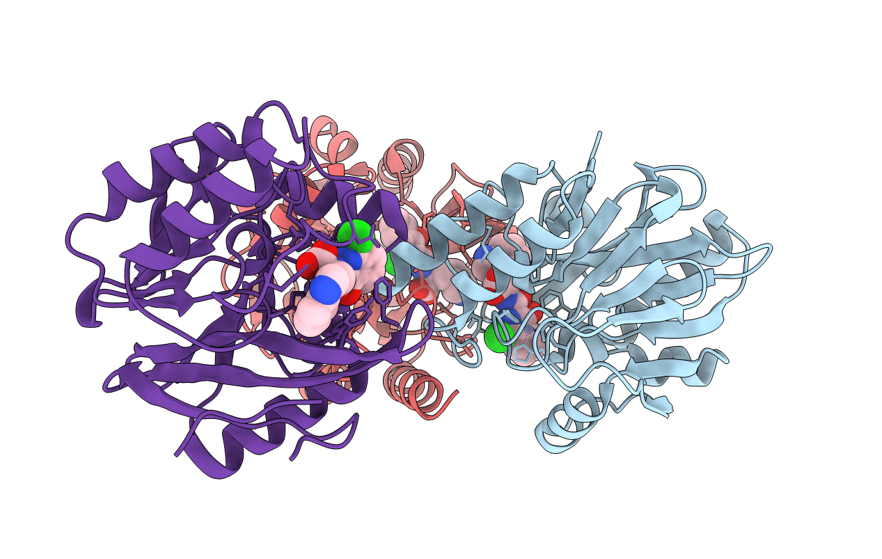 5N55 image