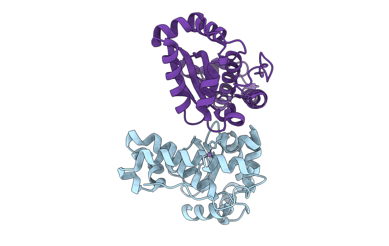 5N57 image