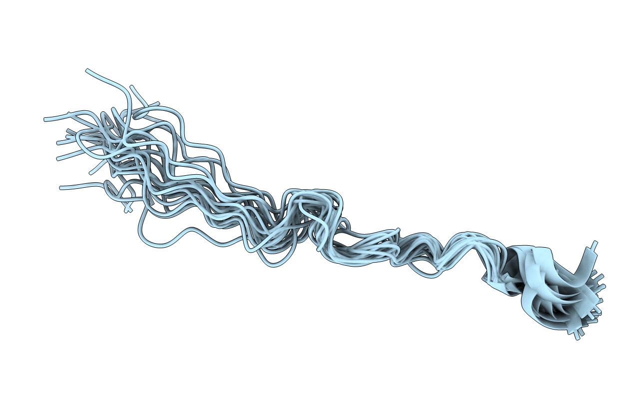 5N5B image