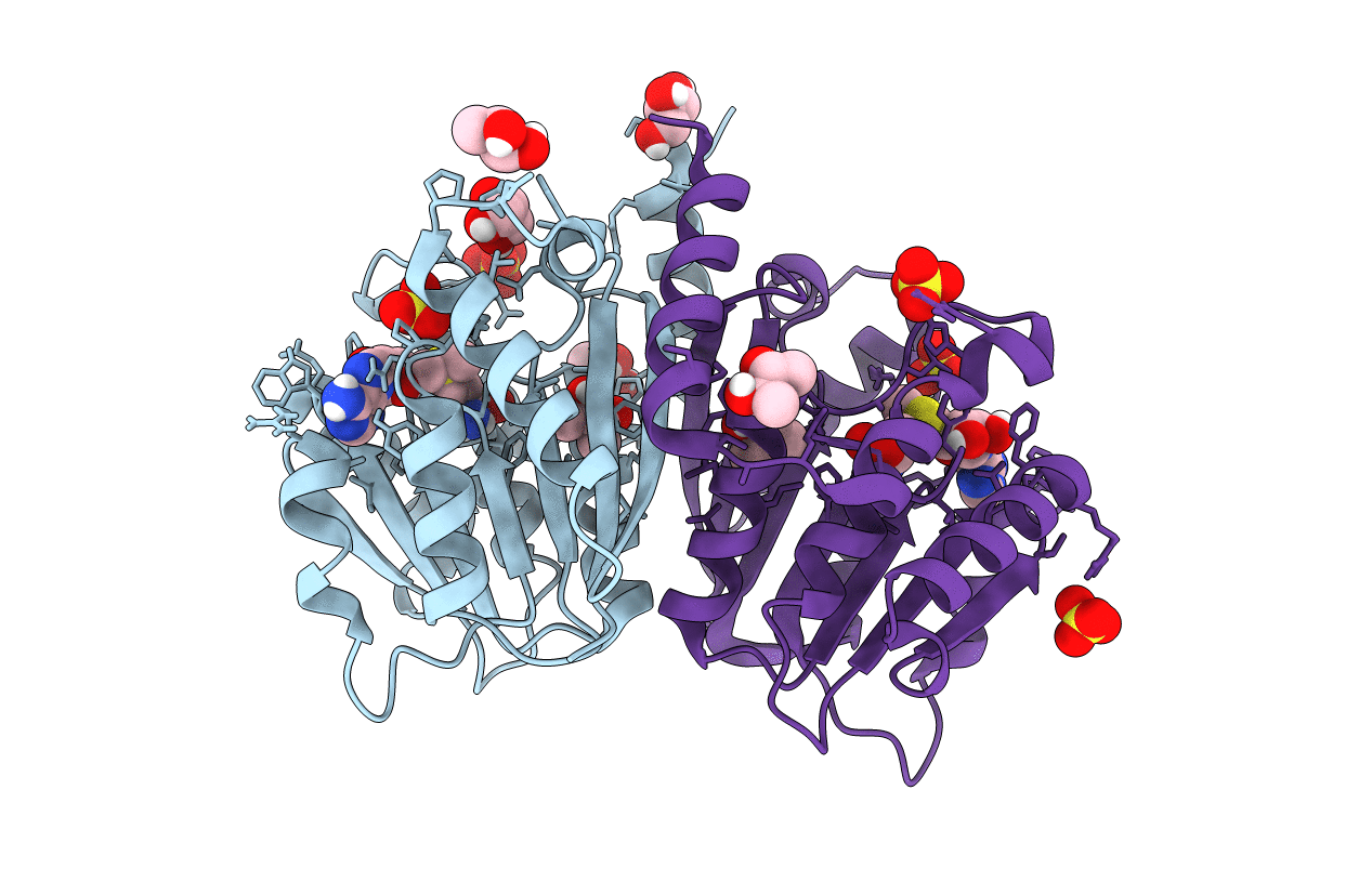 5N5D image