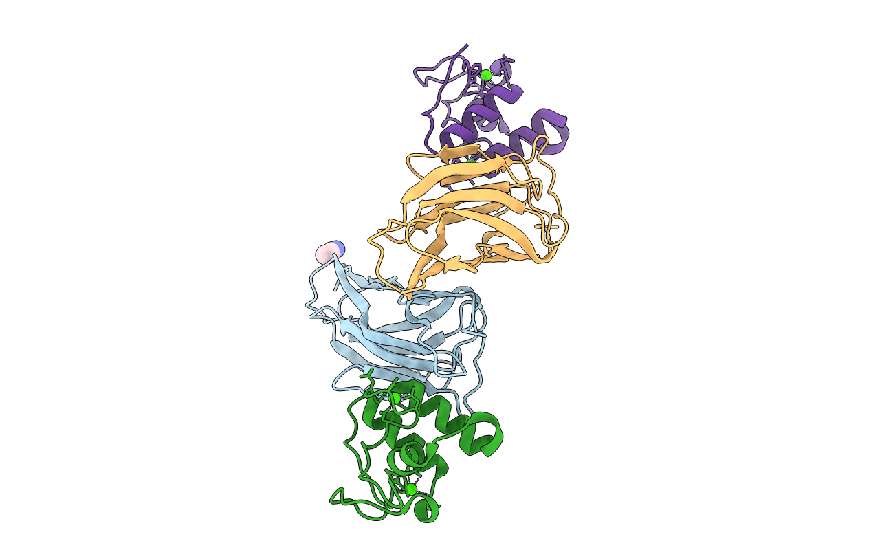 5N5P image
