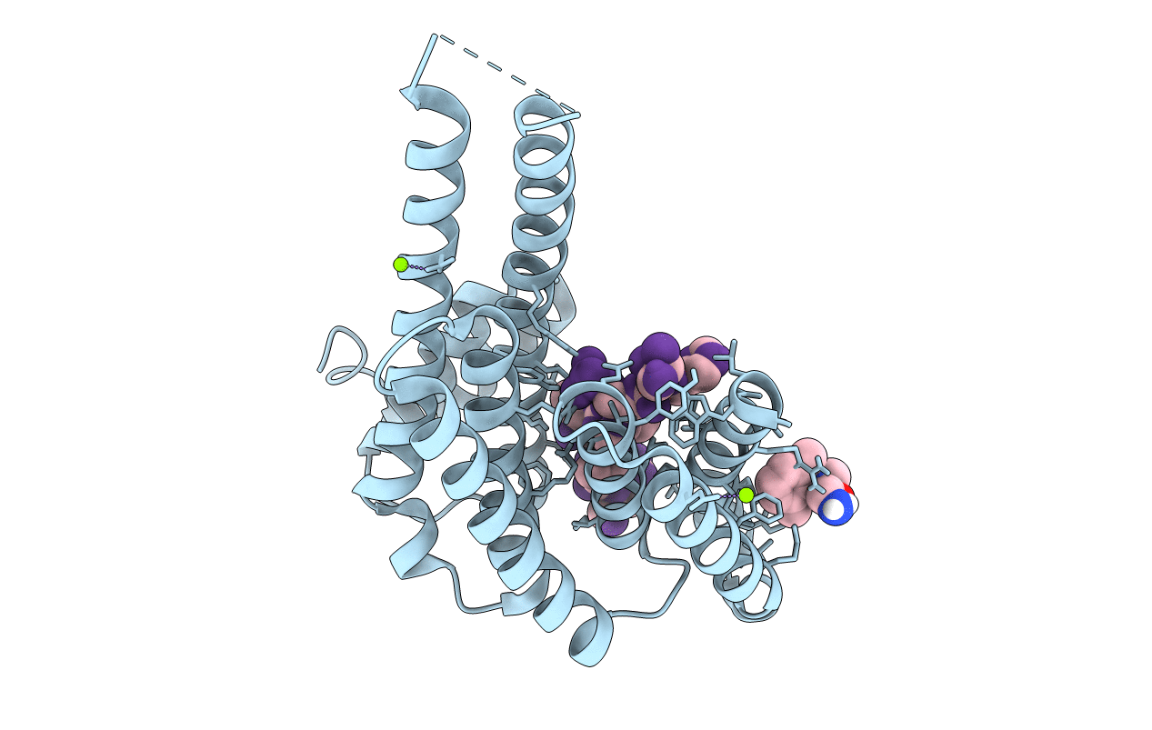 5N5R image