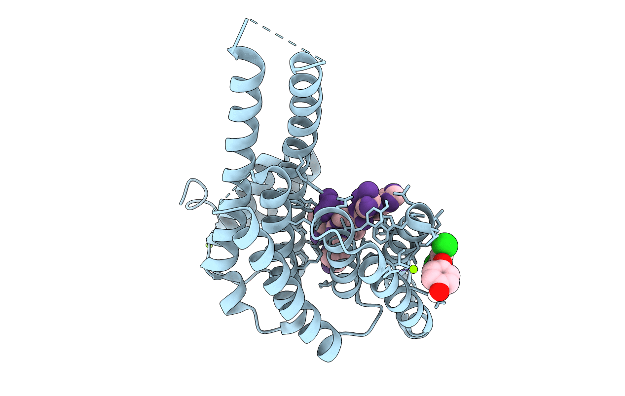 5N5T image
