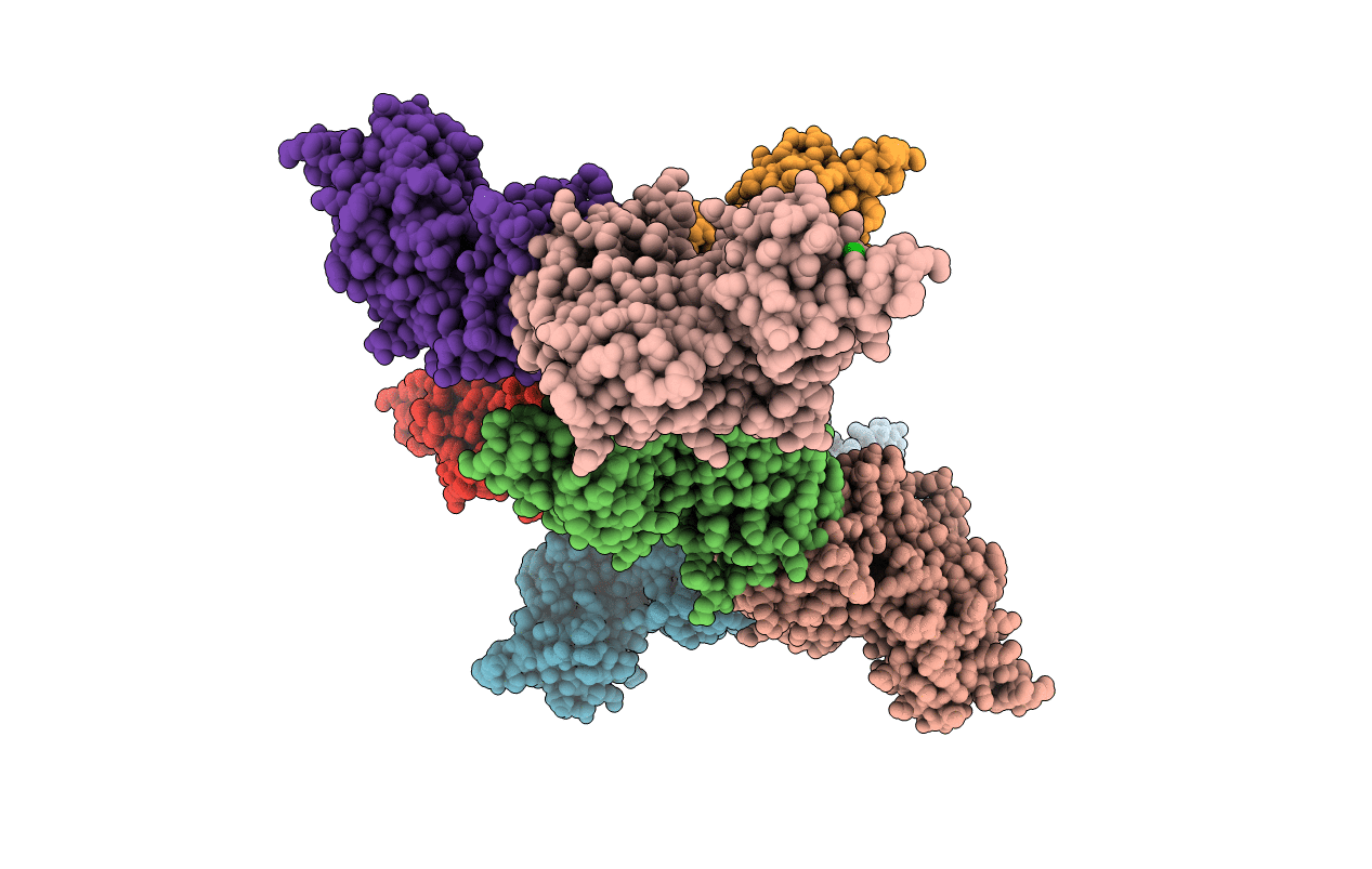 5N5V image
