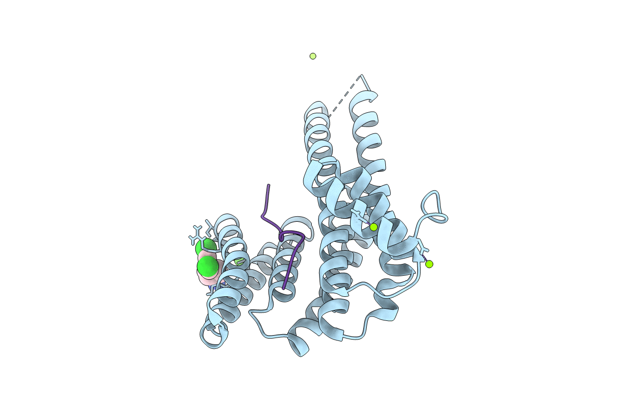 5N5W image