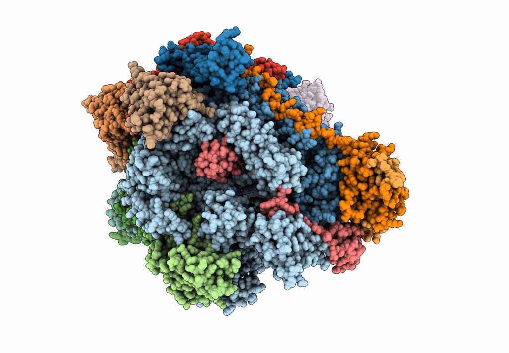 5N60 image