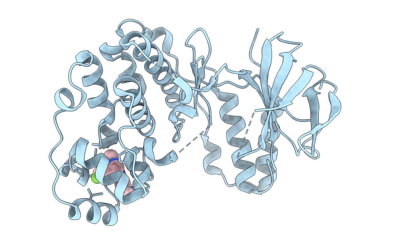 5N63 image