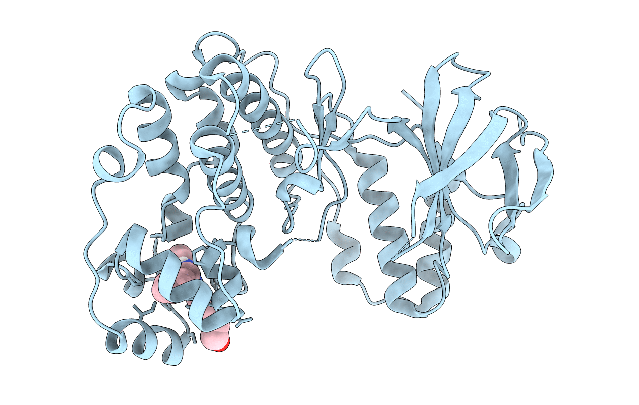 5N68 image