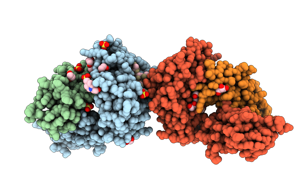 5N6B image