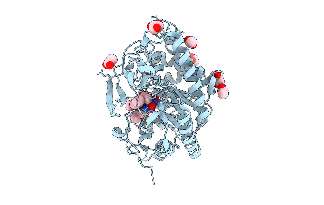 5N6G image