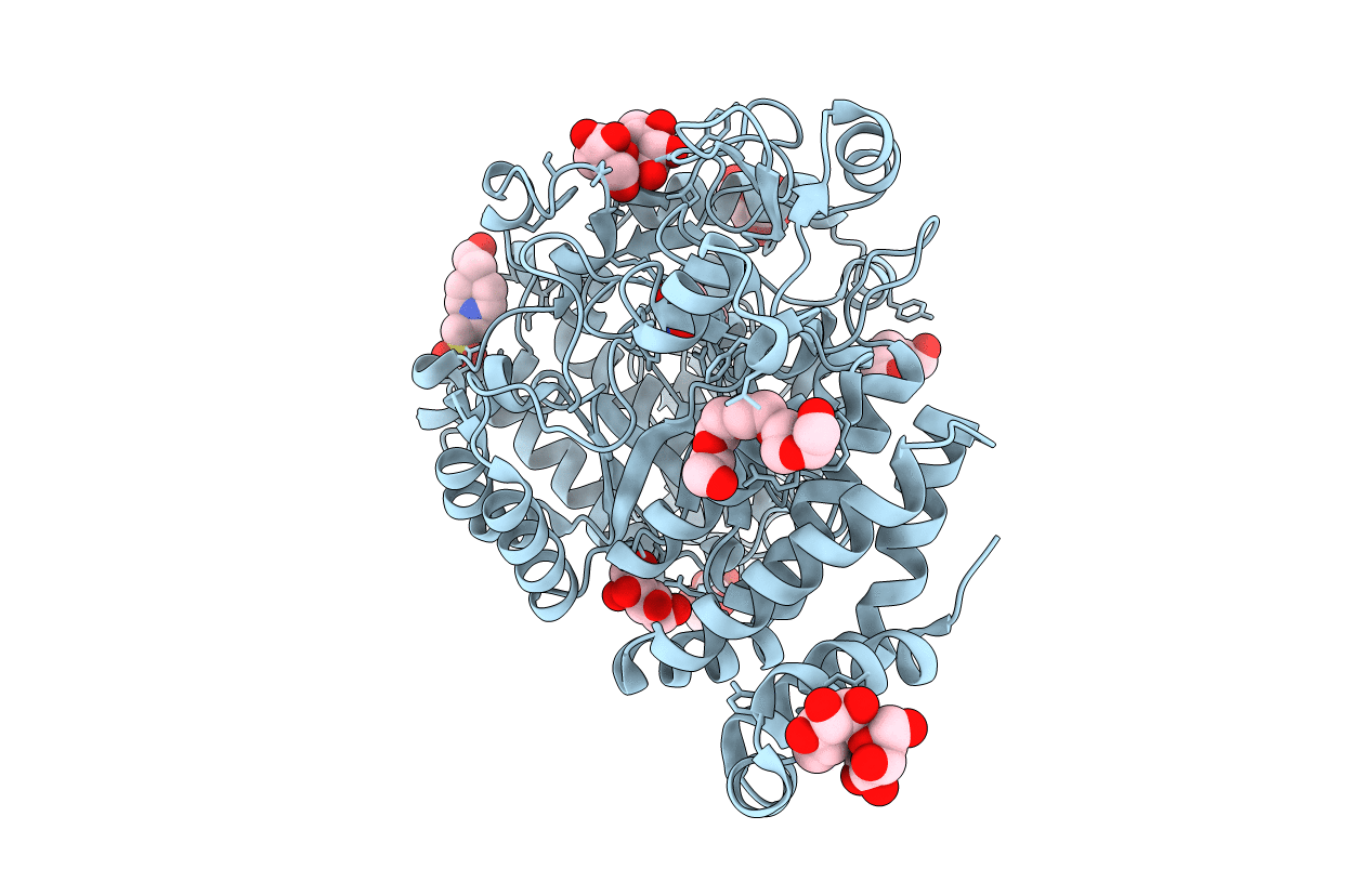 5N6V image