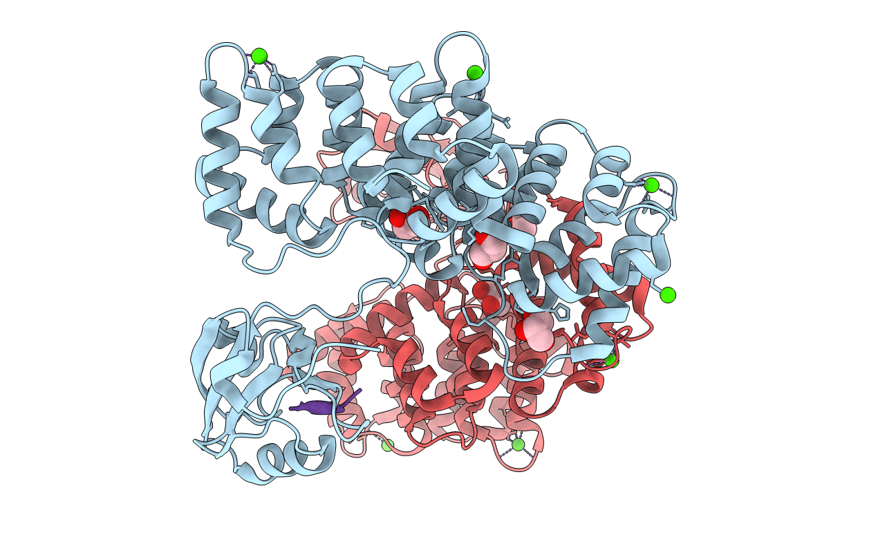 5N7D image
