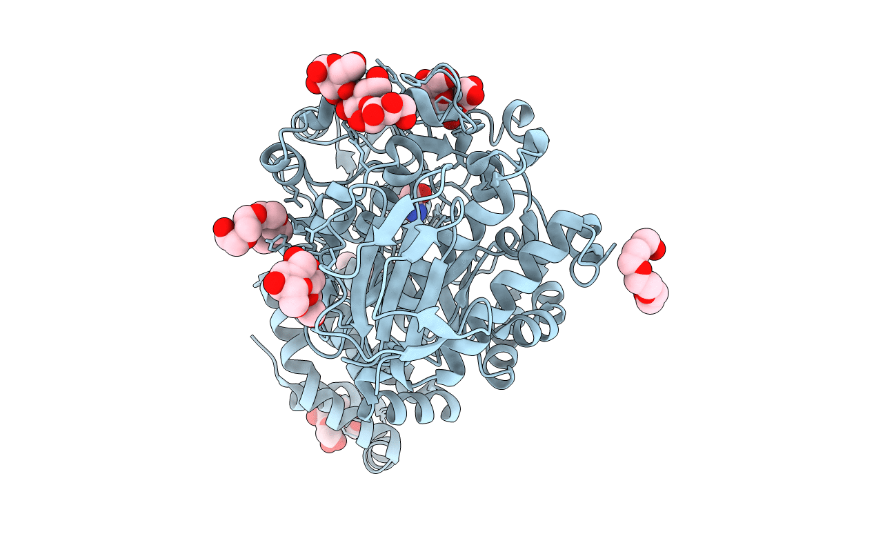 5N7J image