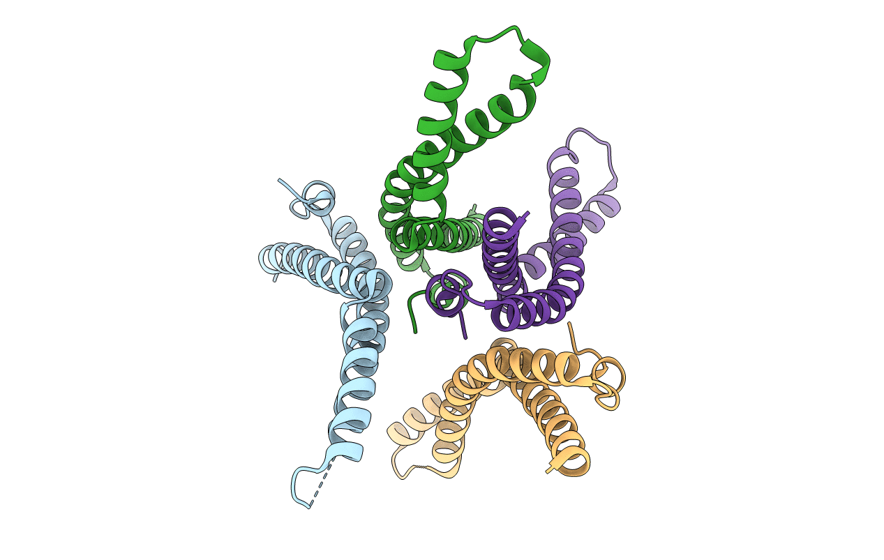 5N7K image