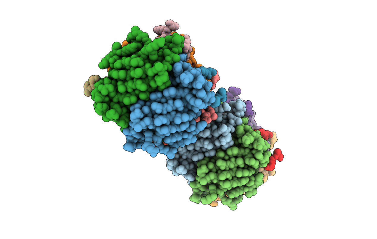 5N7X image