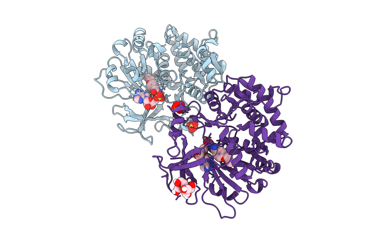 5N81 image