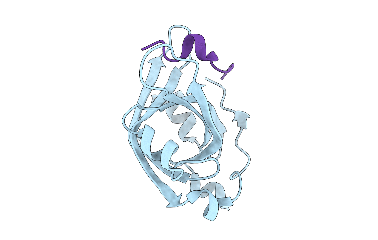 5N85 image