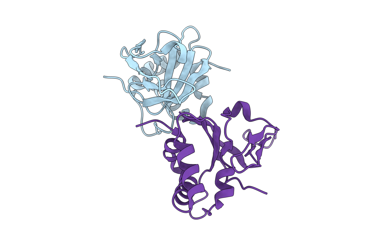 5N86 image