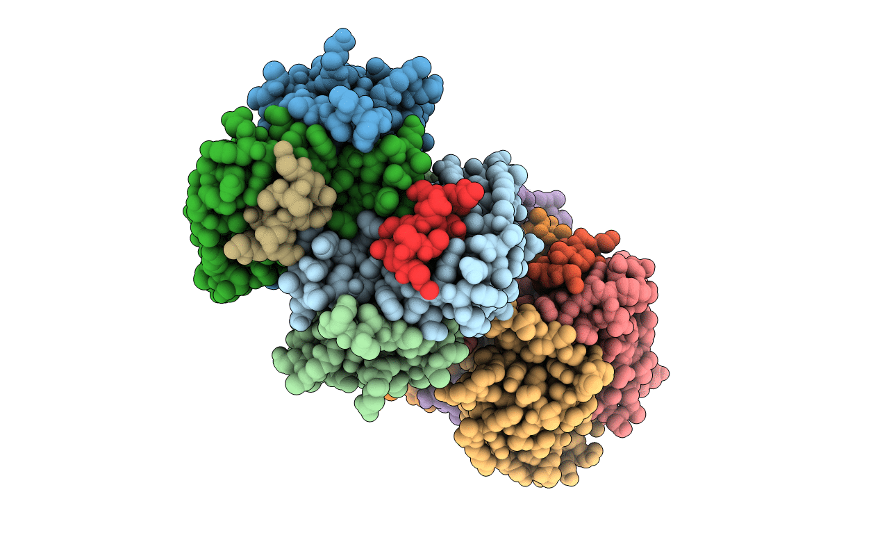 5N89 image