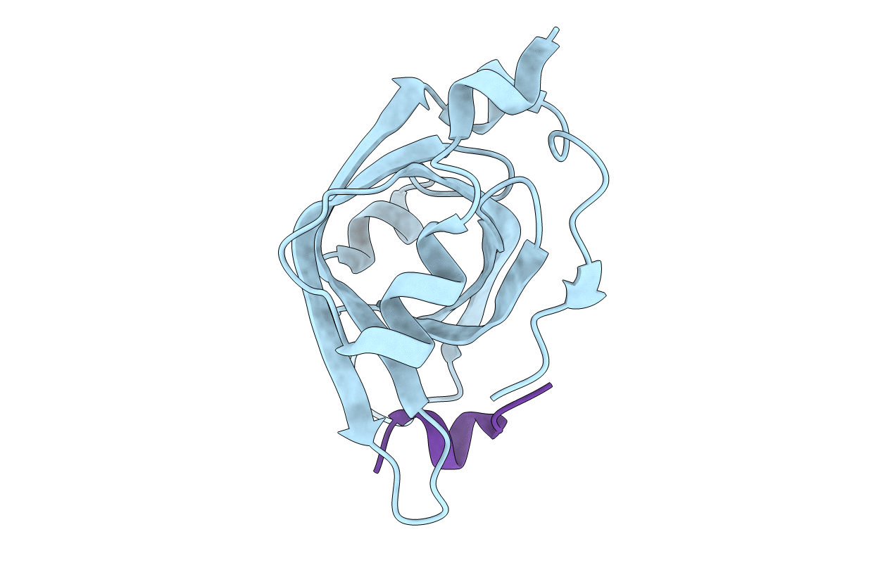 5N8A image