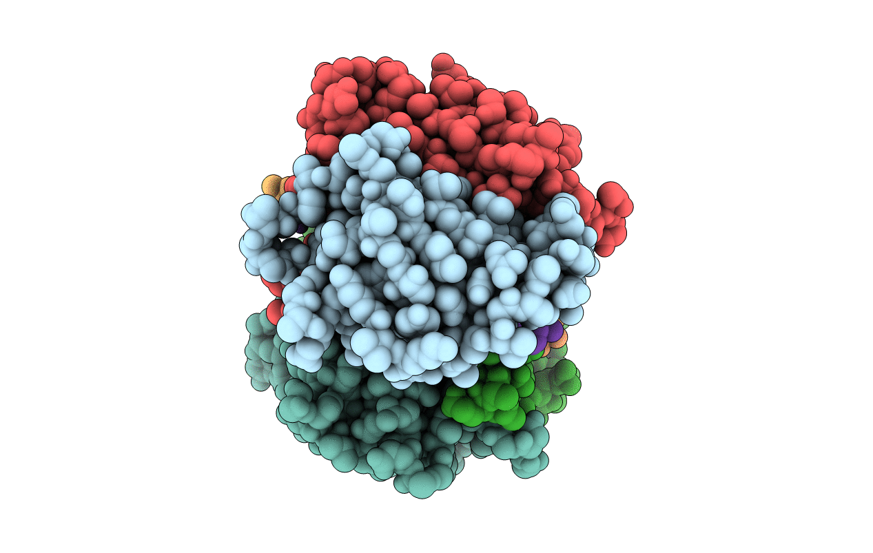 5N8E image