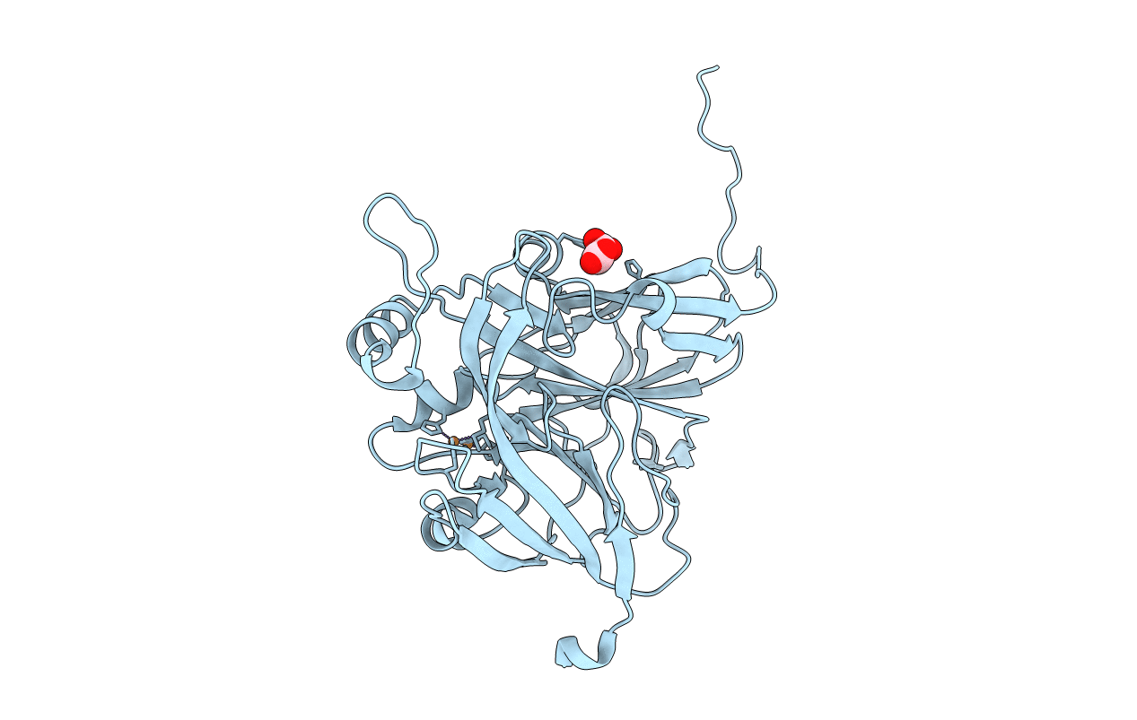 5N8I image