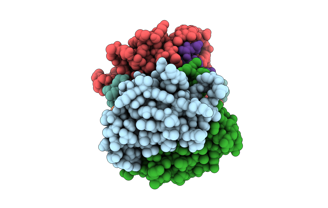 5N8J image