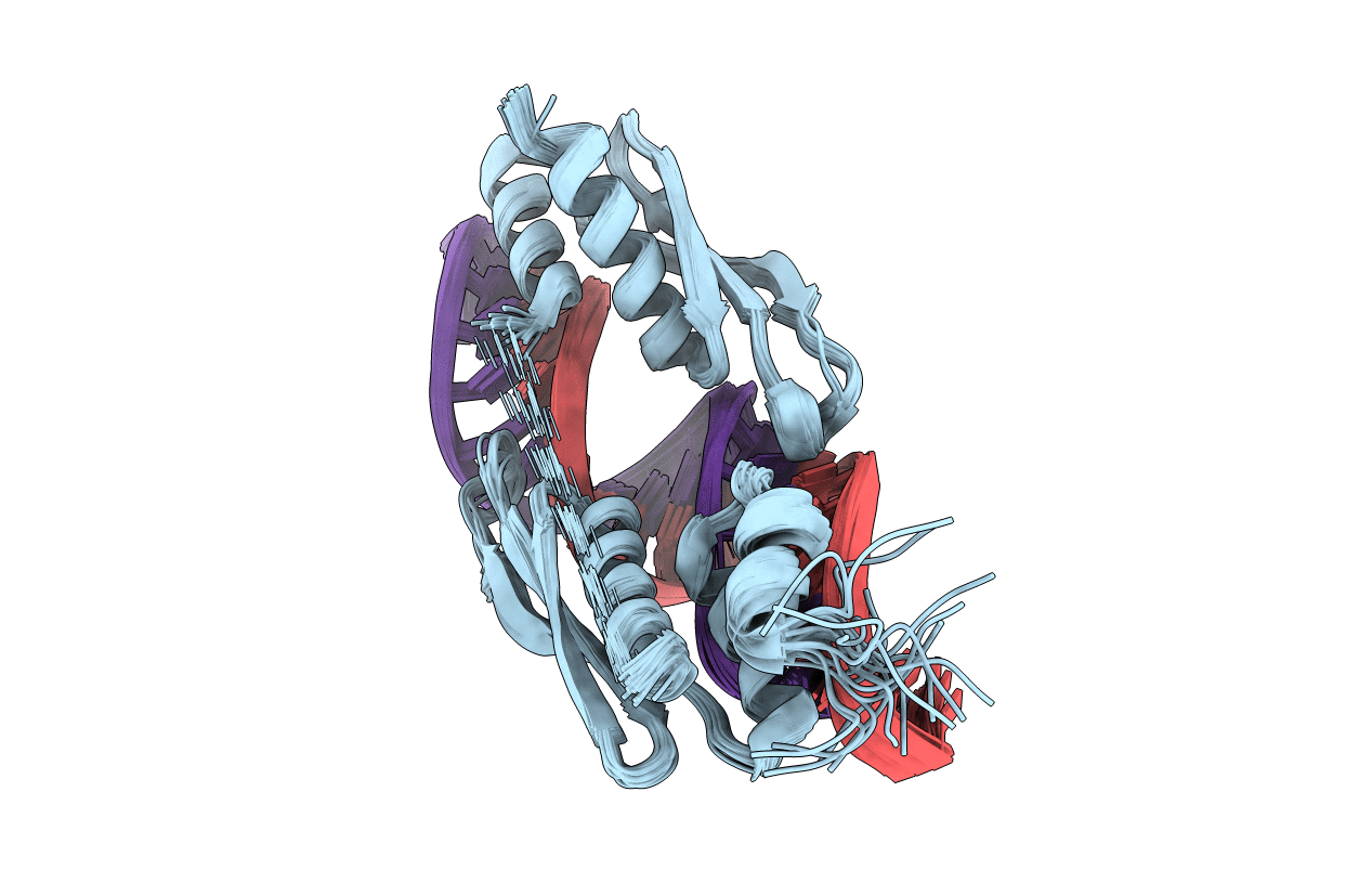 5N8M image