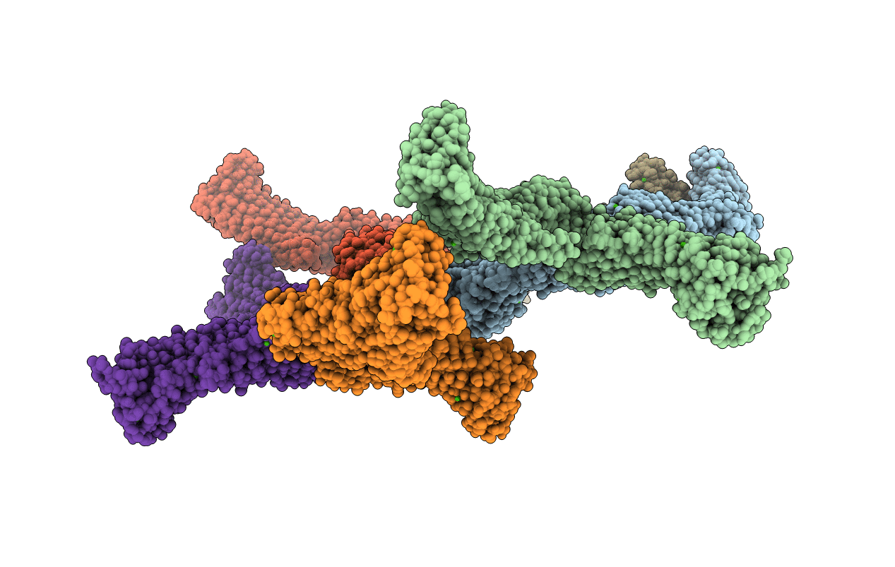 5N8P image