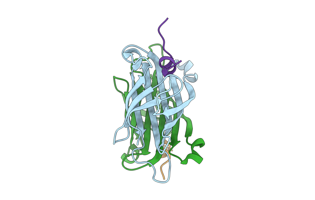 5N8W image