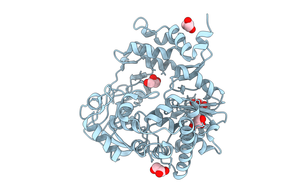 5N8X image