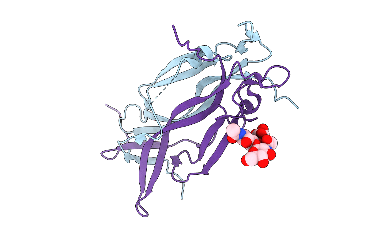 5N92 image