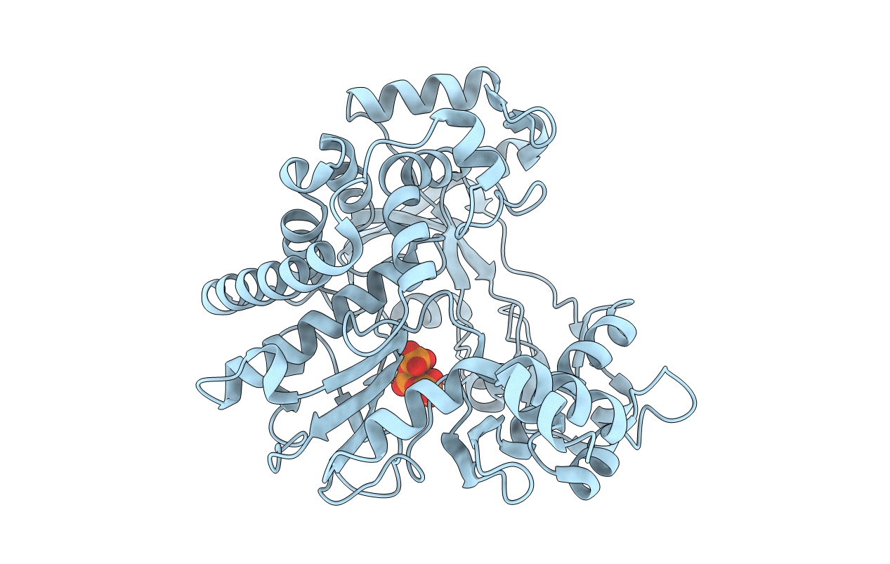 5N95 image