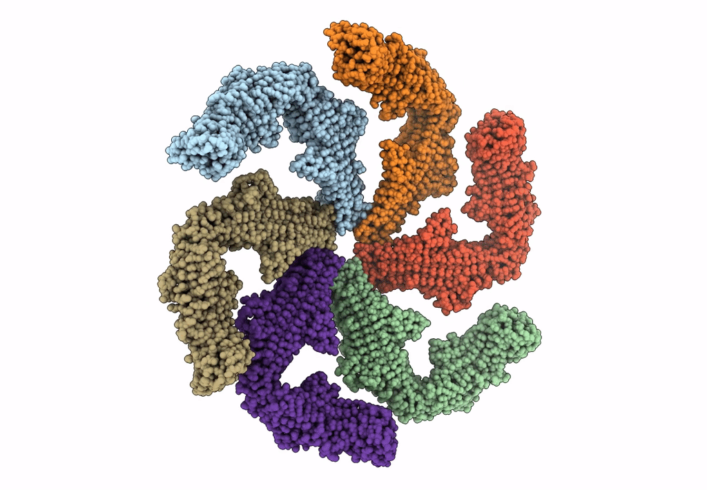 5N97 image