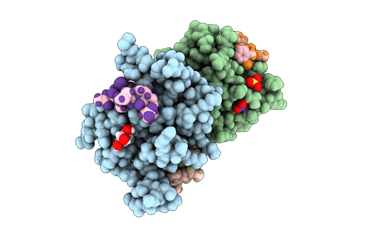 5N9C image