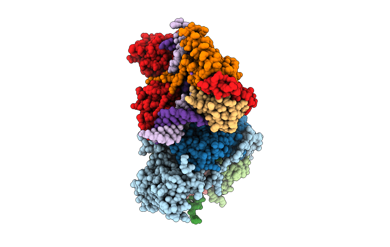 5N9G image