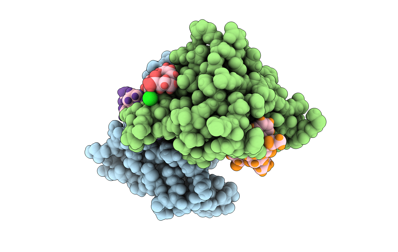 5N9P image