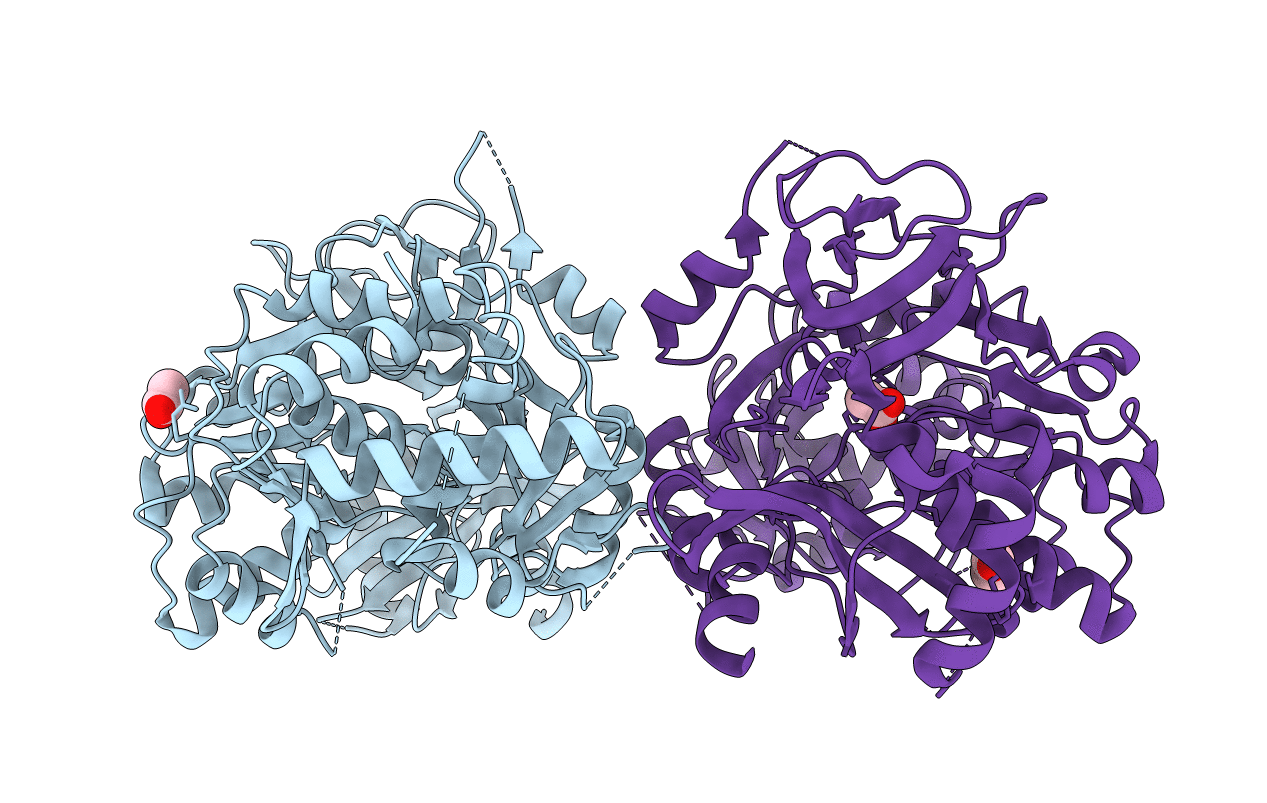 5N9W image
