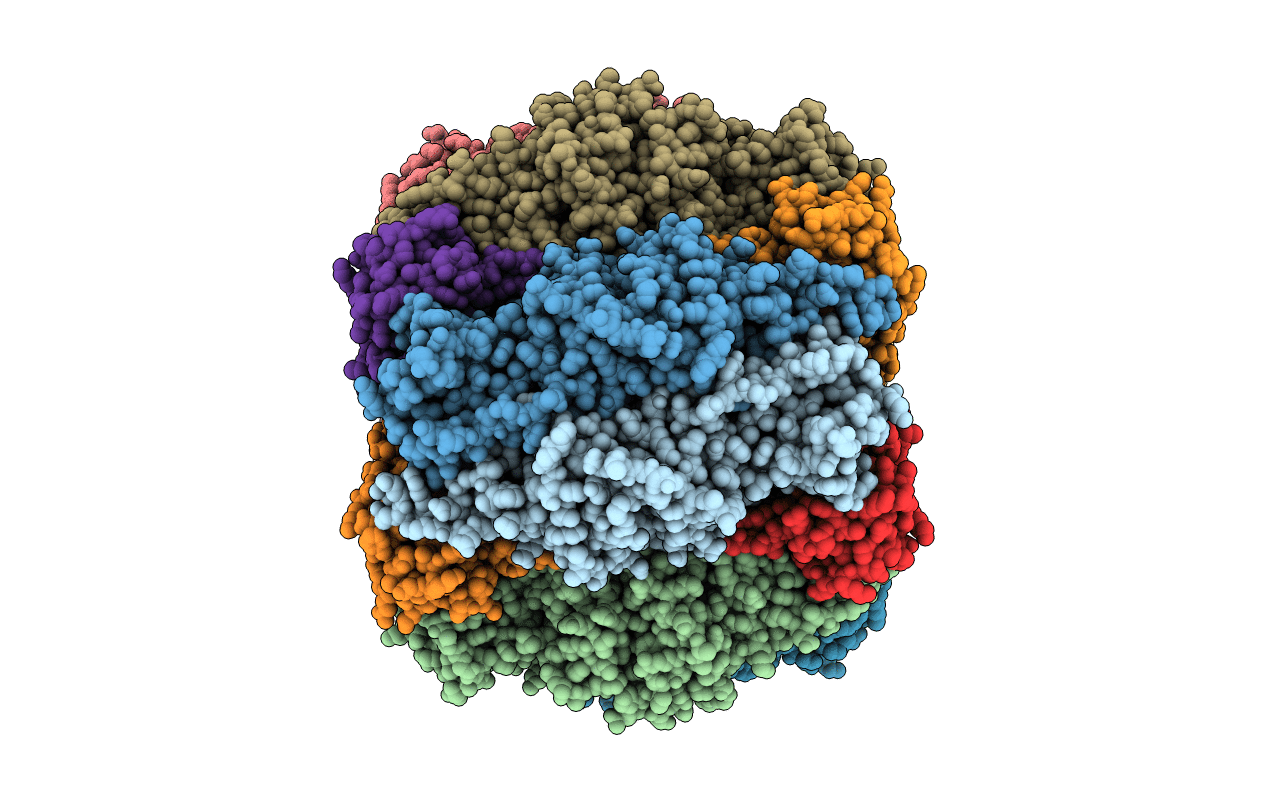 5N9Z image