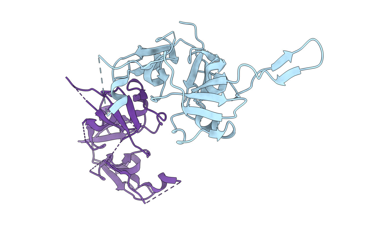 5NB2 image