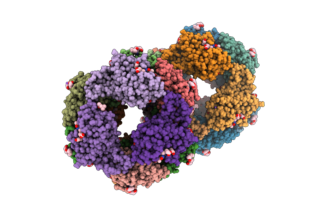 5NB3 image